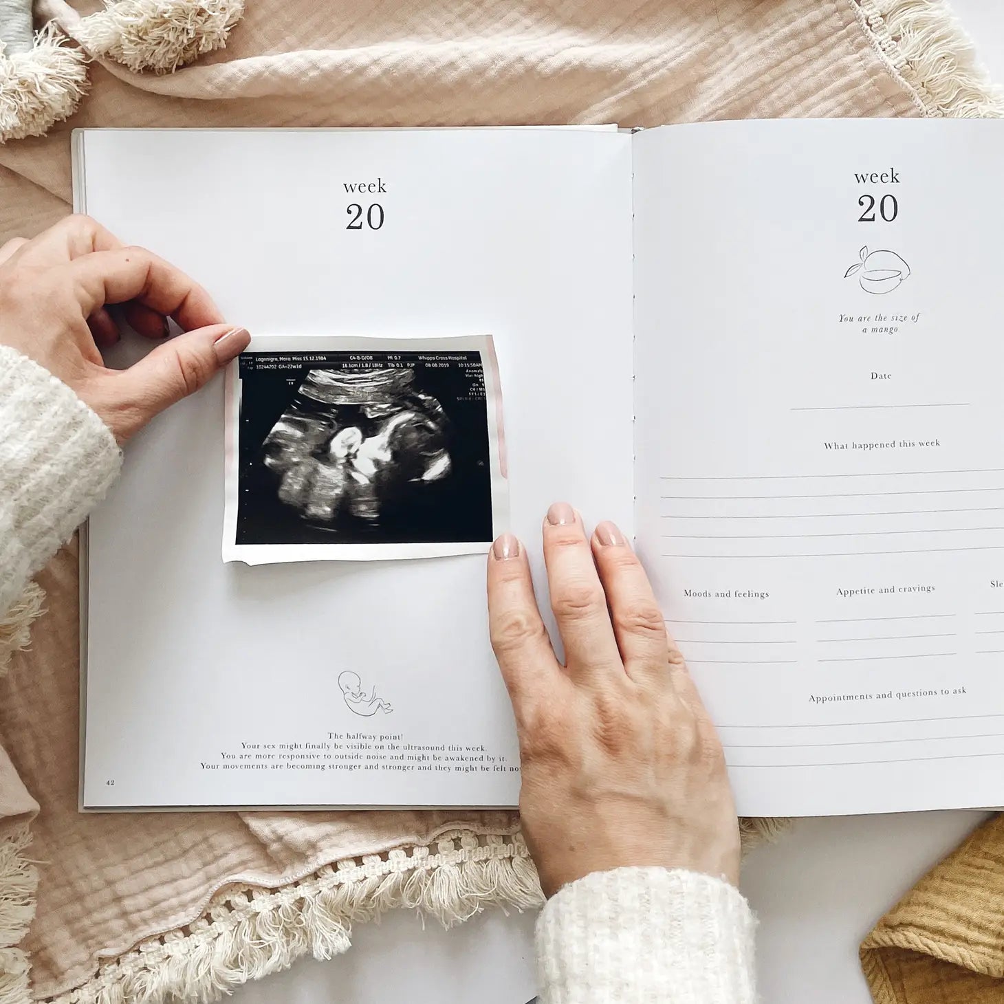 Pregnancy journal (Animals)