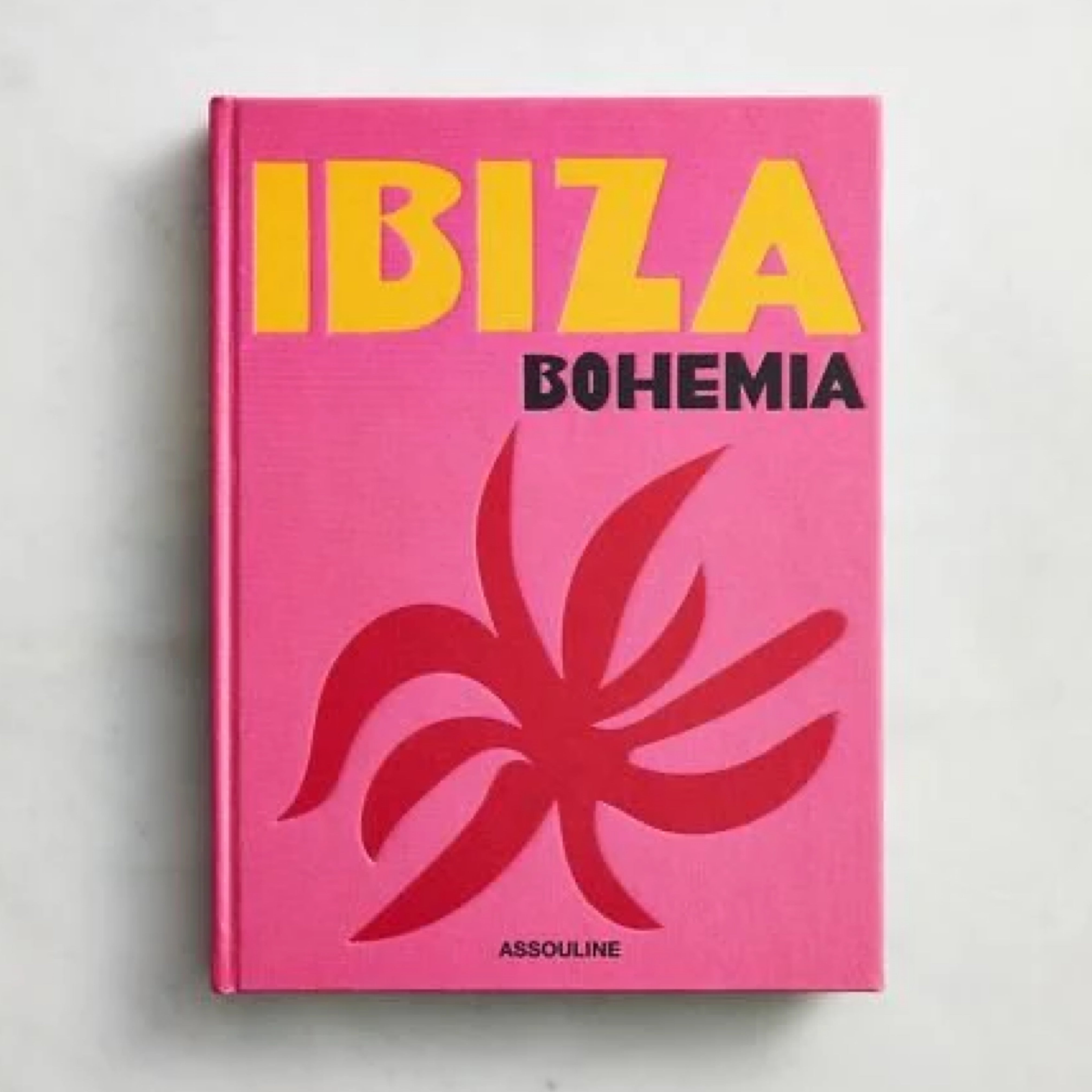 Ibiza Bohemia, libro