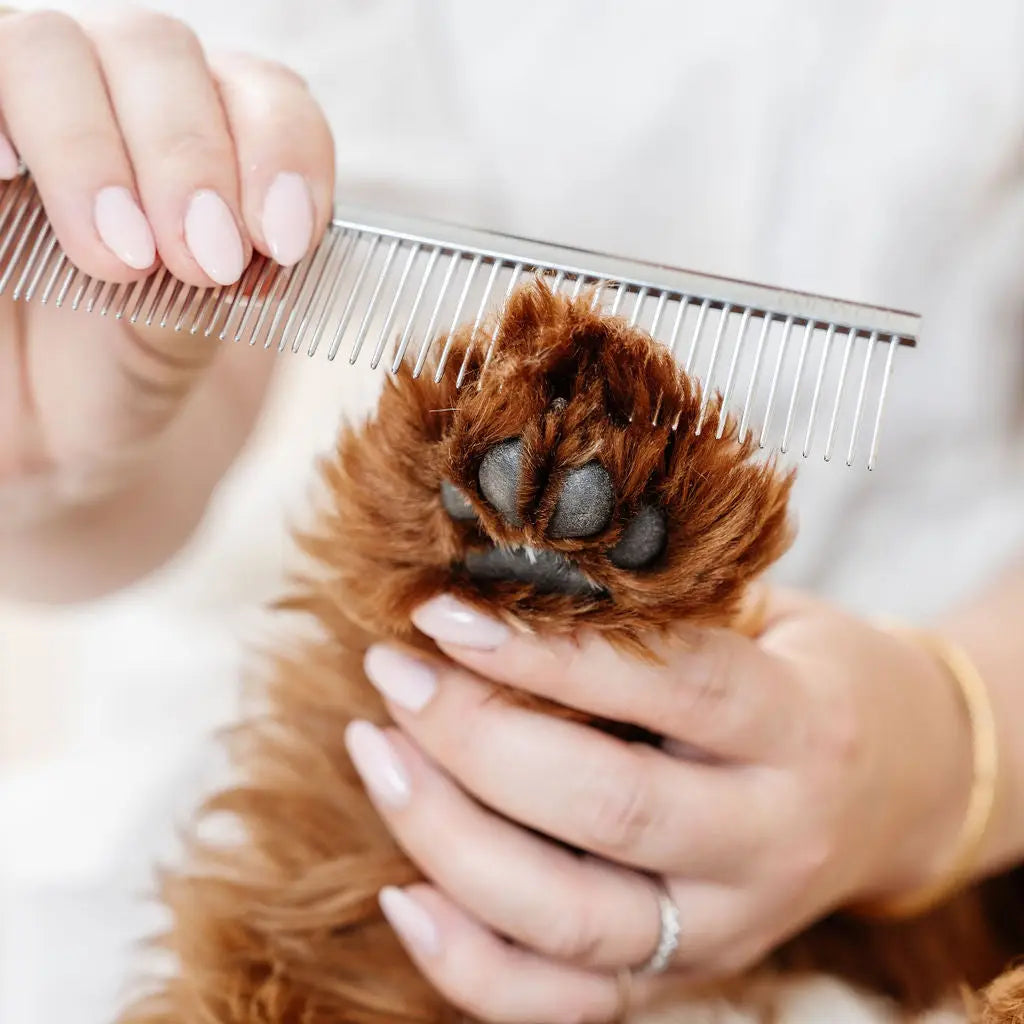 Kit de peluquería canina - loft in SoHo