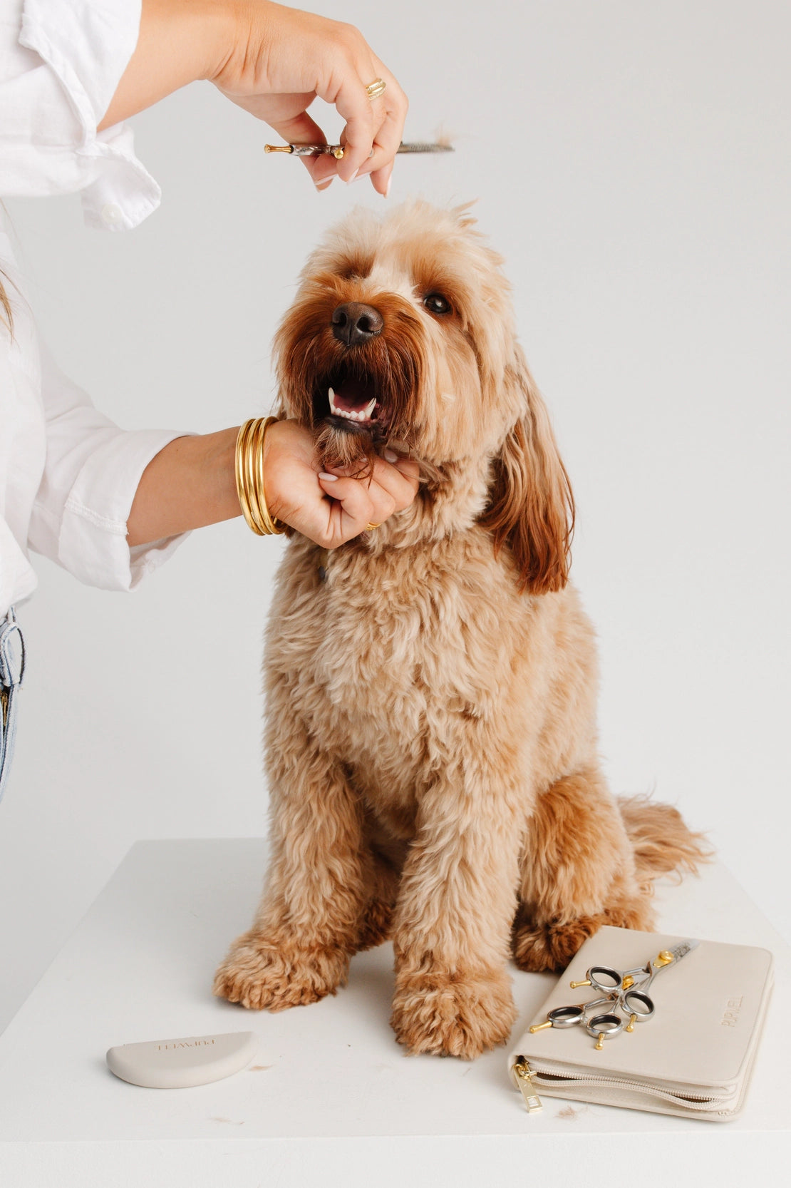 Kit de peluquería canina - loft in SoHo