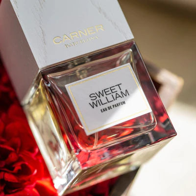 Perfume Carner Sweet William