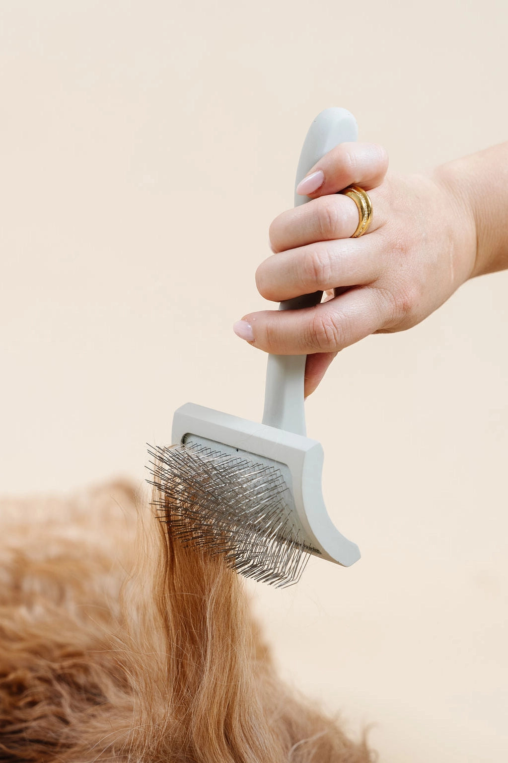 Kit de peluquería canina - loft in SoHo