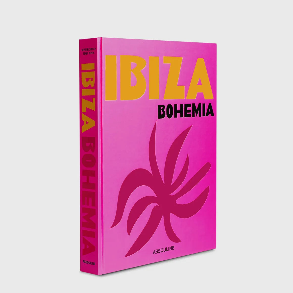 Ibiza Bohemia, libro
